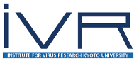 京都大学ウイルス研究所