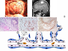 seminar_image1