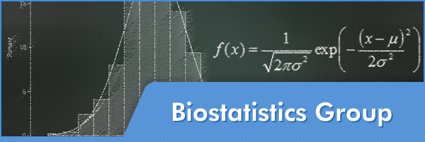 Biostatistics Group