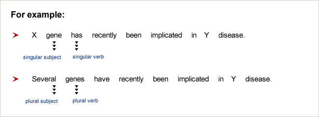 verb agreement error examples