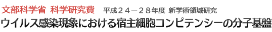 ウイルス感染現象における宿主細胞コンピテンシーの分子基盤