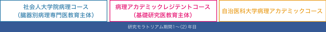 社会人大学院病理コース、病理アカデミックレジテントコース、自治医科大学病理アカデミックコースで、継続的な病理診断学のトレーニングを行っていきます。研究モラトリアム期間1～2年目の特徴は以下です。