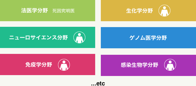 法医学分野、生化学分野ニューロサイエンス分野、ゲノム医学分野、免疫学分野、感染生物学分野など