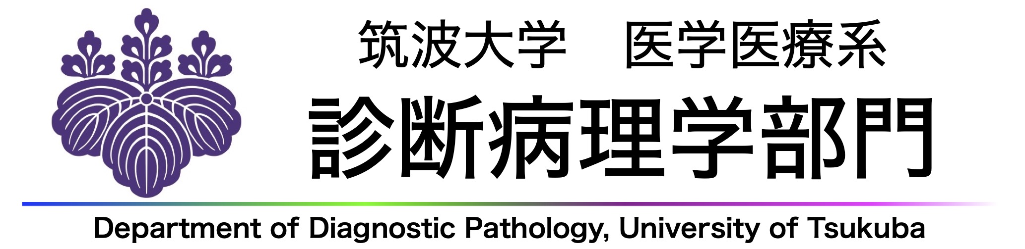 <i>University of Tsukuba</i> <i>Faculty of Medicine</i> <i>Diagnostic pathology</i>
