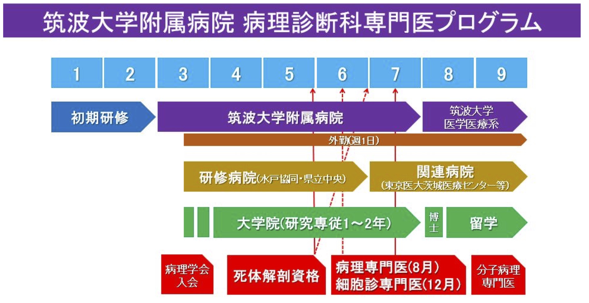 TOP｜筑波大学附属病院 病理部/病理診断科