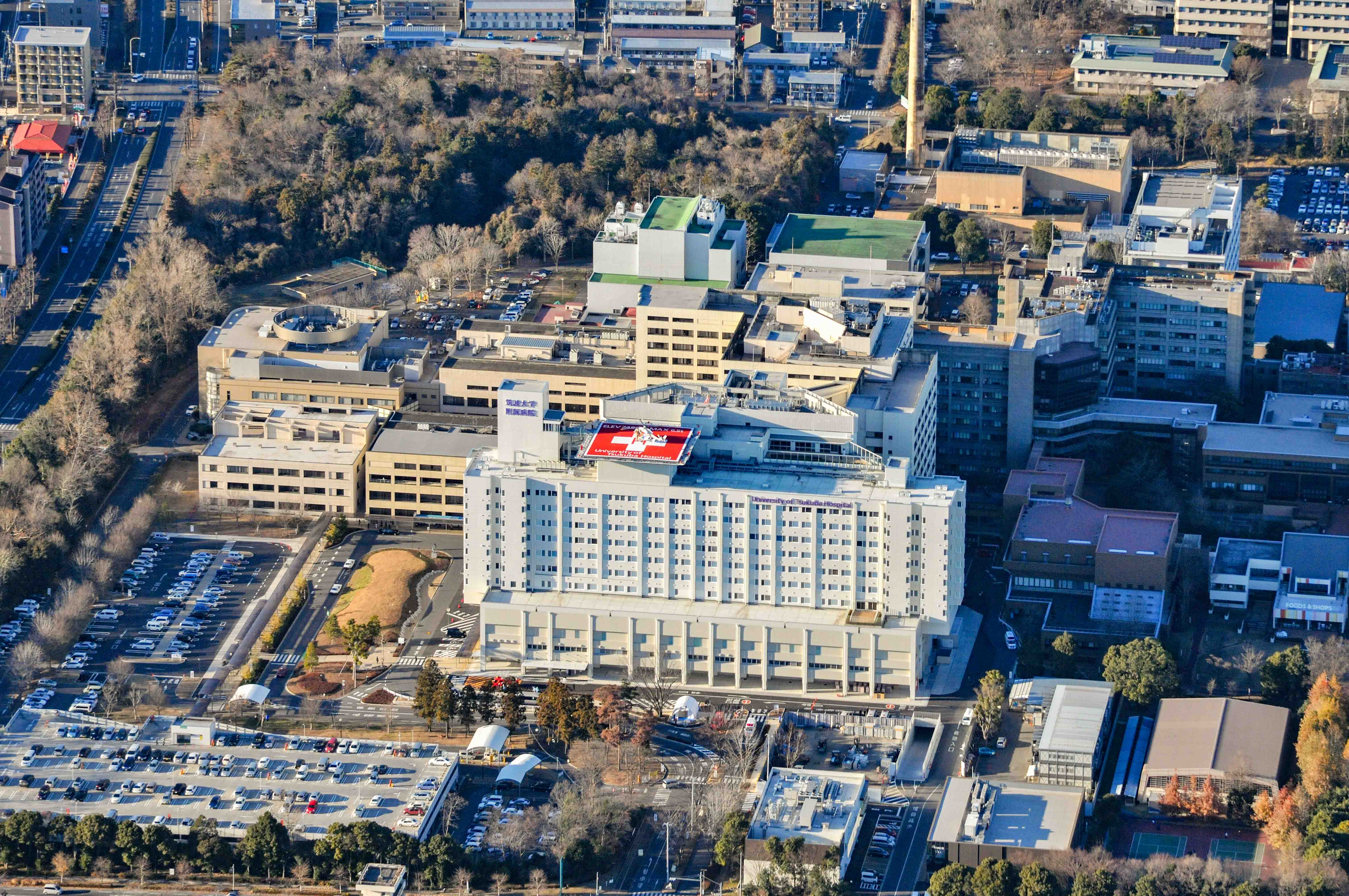 TOP｜筑波大学附属病院 病理部/病理診断科