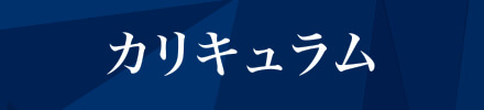 カリキュラム