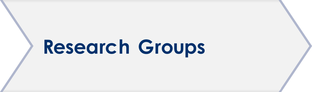 Research Groups