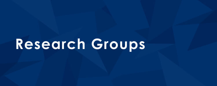 Research Groups