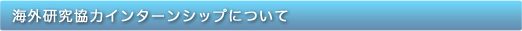 インターンシップ目的